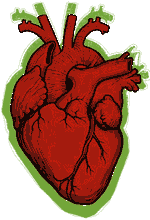 Cuore della campagna Il mio cuore al centro